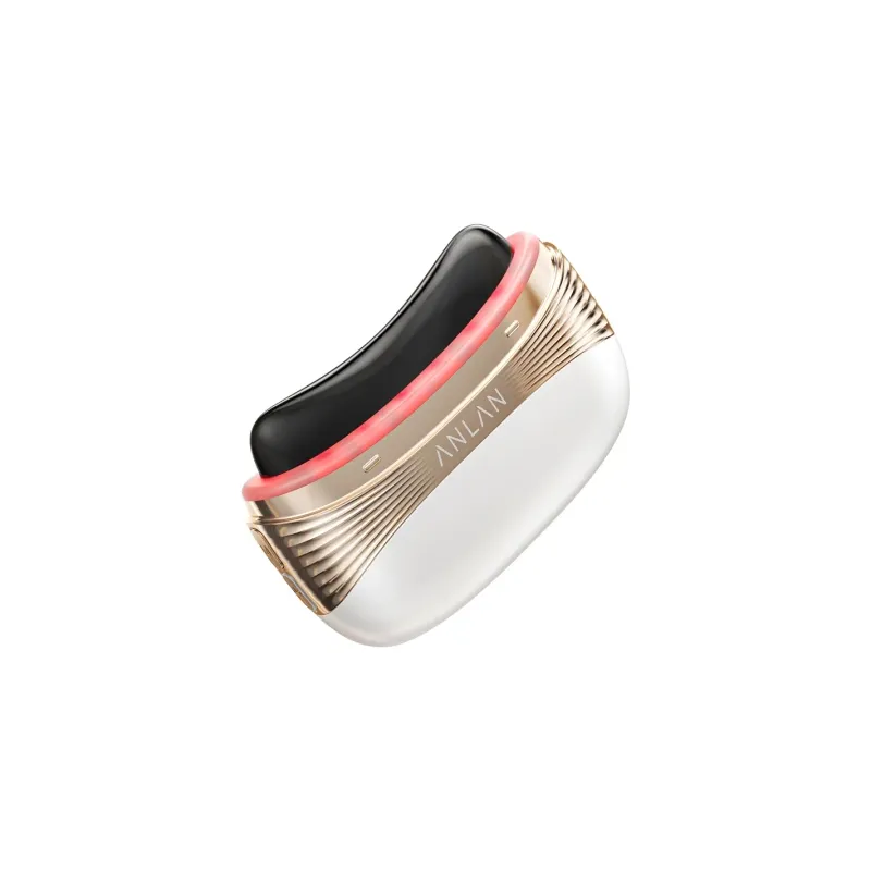 ANLAN 02-AGSY53-02A 2-in-1 Face and Head Massager